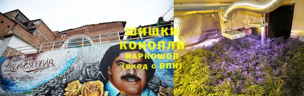 бошки Нягань