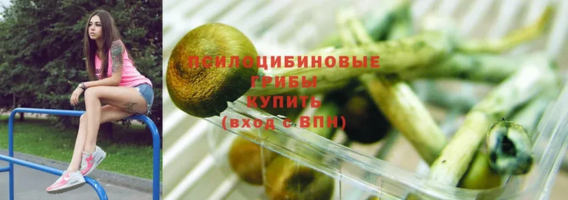 Галлюциногенные грибы Psilocybine cubensis  Энем 